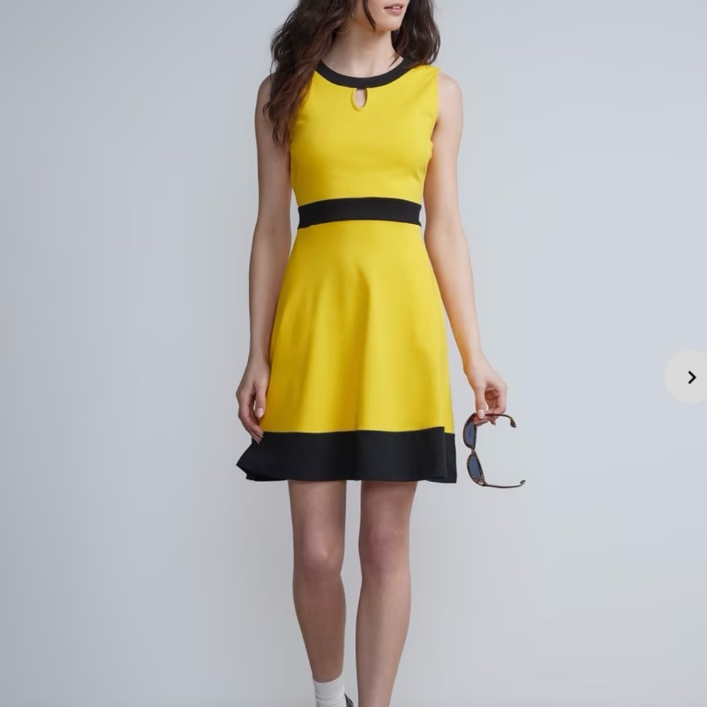 New York & Company Piped Flare Dress - City Knits